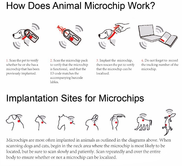 Implantable RFID Glass Microchip Tag For Pet Tracking