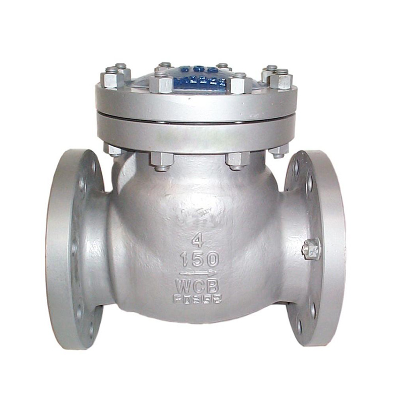 ANSI Standard Flange Check Valve