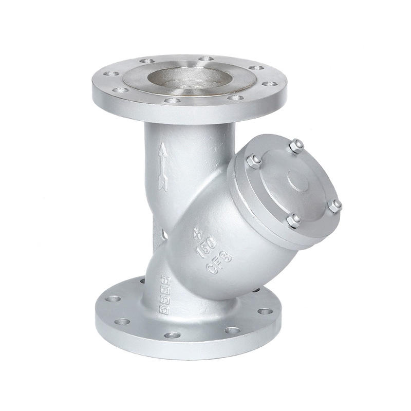 ANSI Flange Y Type Strainer