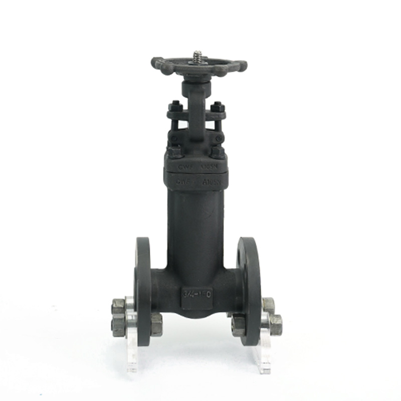 Forged Steel Bellow Seal Globe Valve