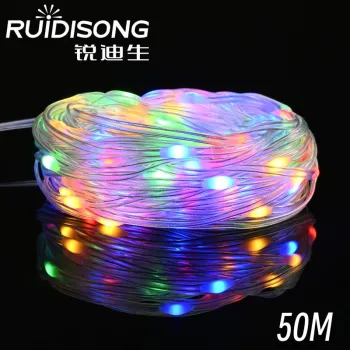 PVC String Lights | Guangdong Ruidisong Technology Co.,Ltd.