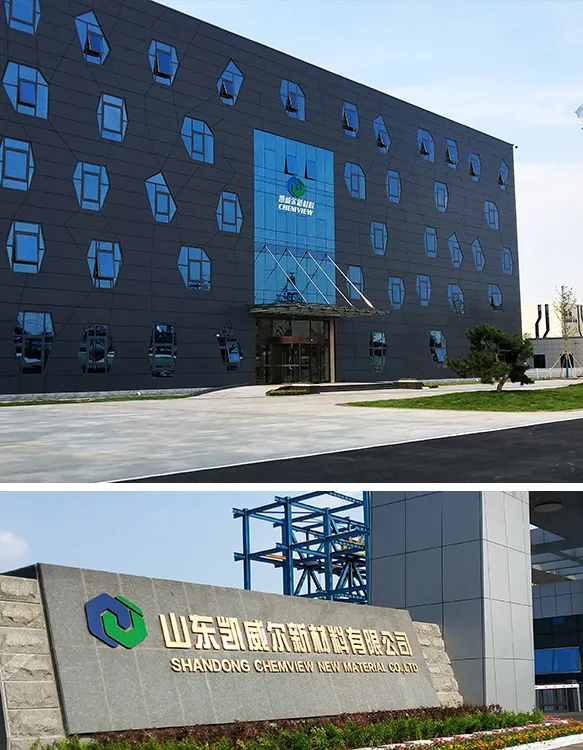 Shandong Chemview New Material Co., Ltd