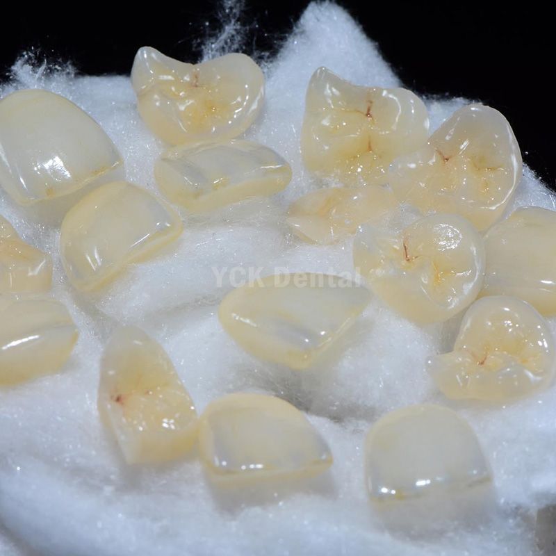 YCK Dental Lab Facility