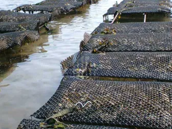 Aquaculture & poultry farming
