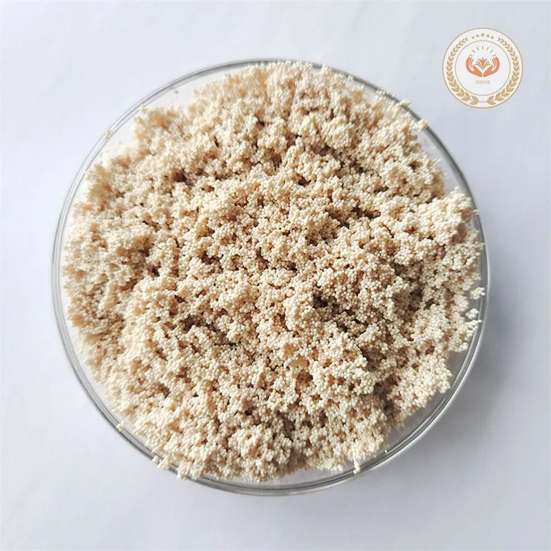 Anion Exchange Resin