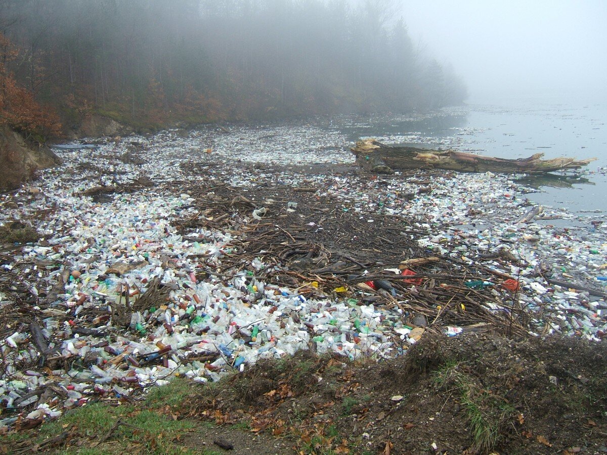 Plastic Pollution Problem and Facts