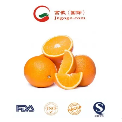 Top Quality for Navel Orange Fresh Orange