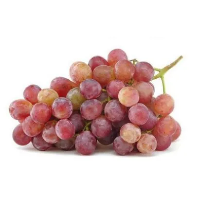 Fresh Grape Sweet Grapes Fresh Grape Fruit