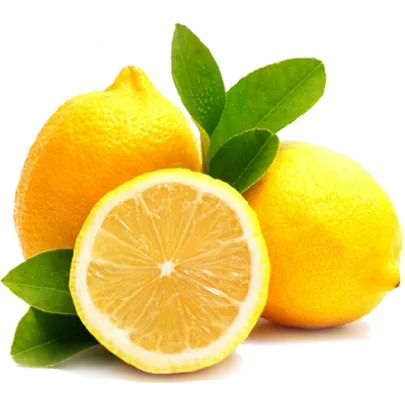 New Crop Hot Sell Fresh Lemon