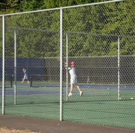 Chain link fences