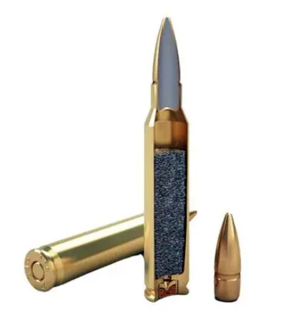 Revealing the Differences between SS109 and M855 Bullets: Subtle Distinctions in Military Technology and Performance