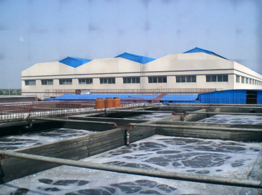 Application of activated carbon in petrochemical industry