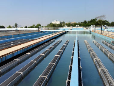 Should I choose powdered carbon or granular carbon for water treatment?
