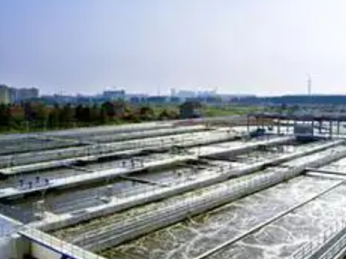 Honeycomb activated carbon for sewage treatment