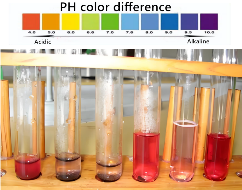 Does pH affect the adsorption effect of activated carbon?
