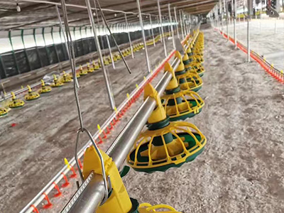 Revolutionizing Feeding Systems: The Ultimate Guide to Efficient Feeding Solutions