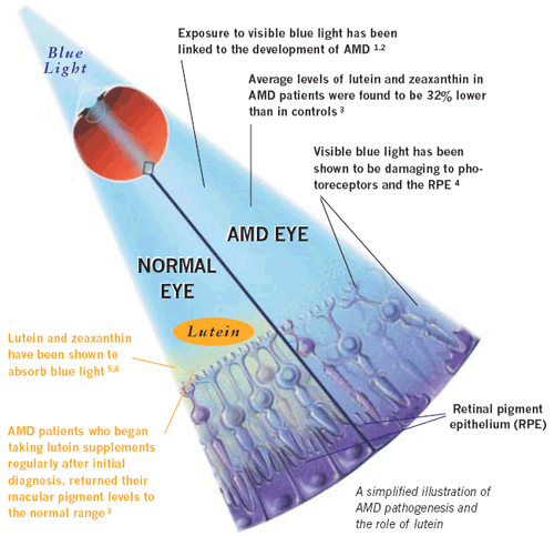 Eye Benefits From Lutein And Zeaxanthin