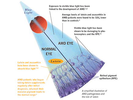 Eye Benefits From Lutein And Zeaxanthin