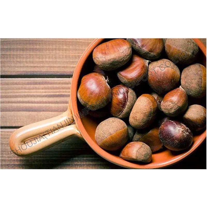 Chestnut With Shell CHEST NUT (WITH SHELL)