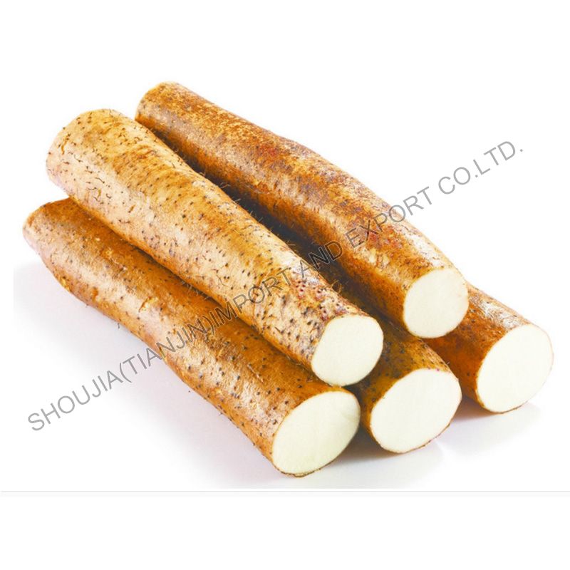 Fresh Vacuum Yam