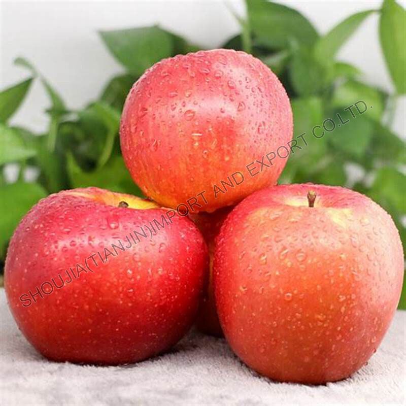 Fresh Apple