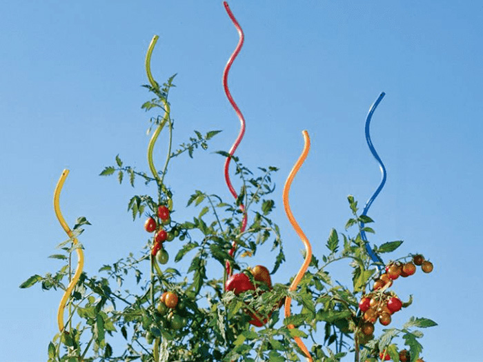 Garden Plant Support – Tomato Spiral Stakes