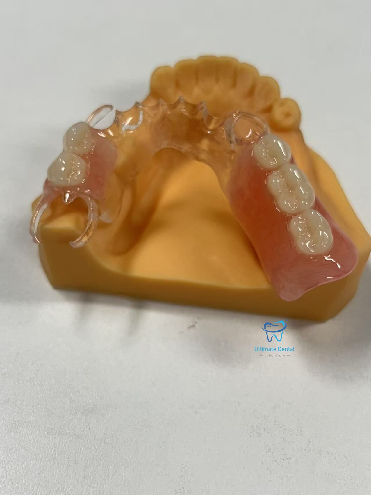 PFM CoCr (Be and Ni Free)