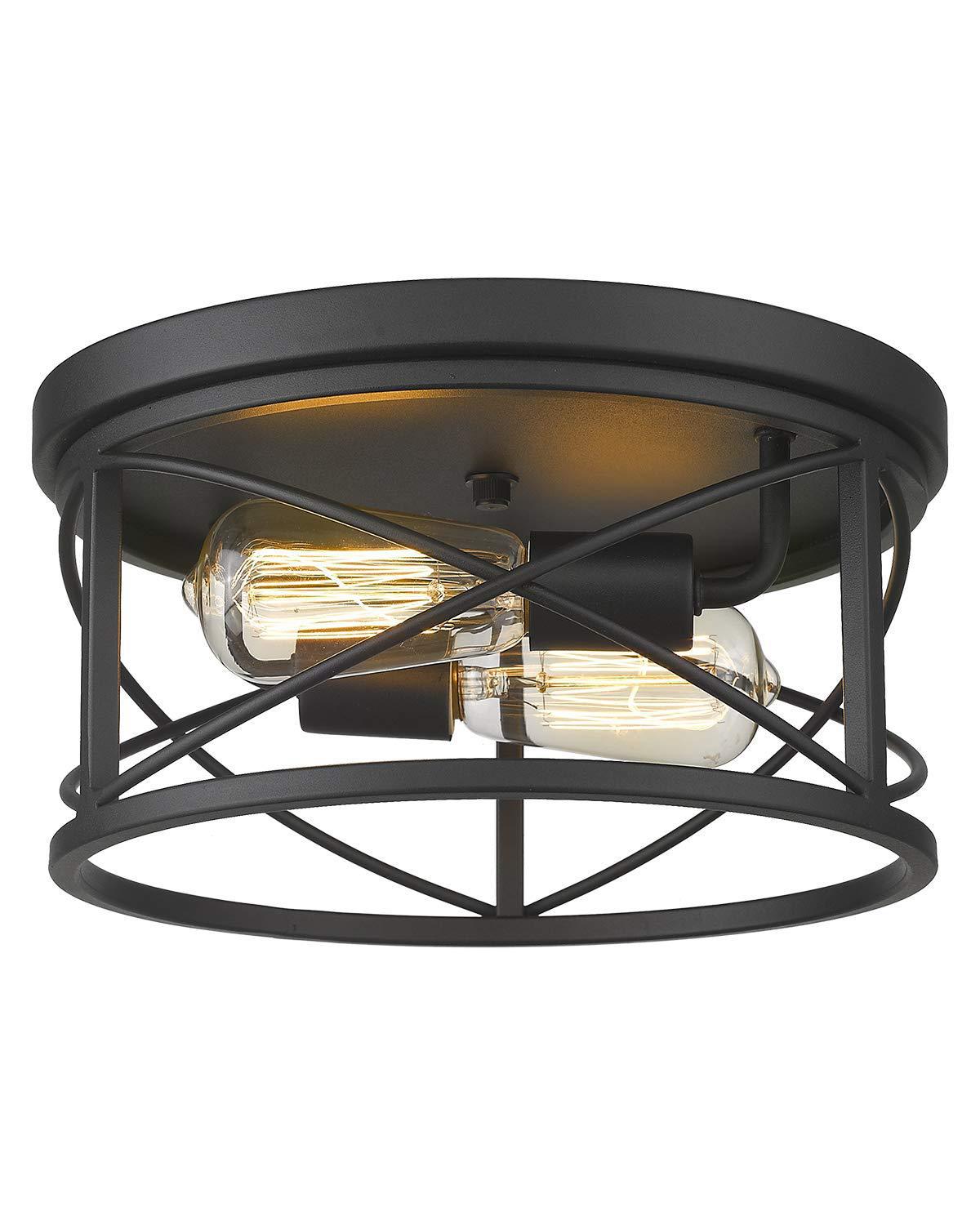 Ceiling Light CL-1010