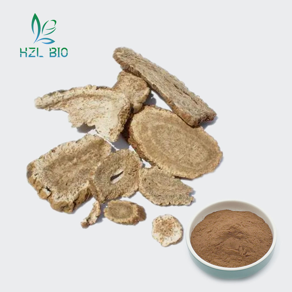 Costus Extract,Costus Root Extract