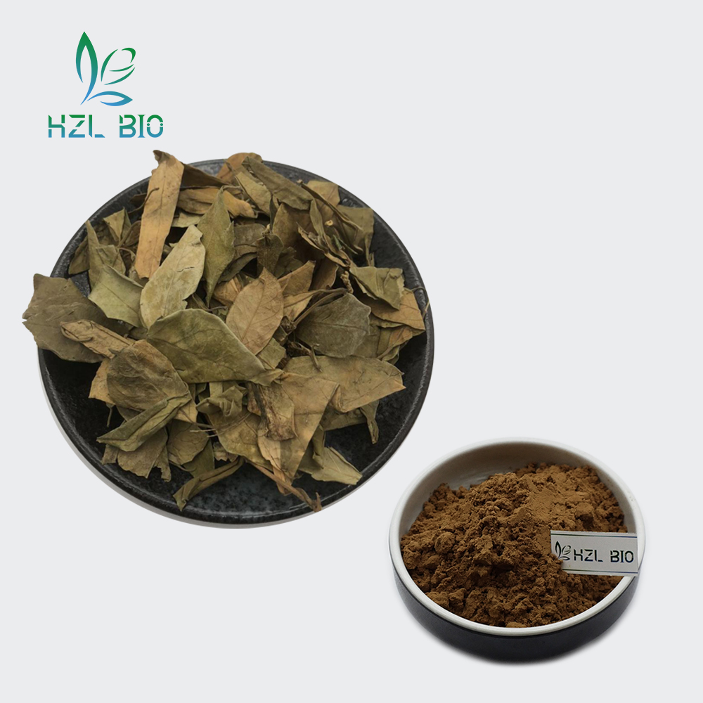 gymnema extract,gymnema sylvestre extract,gymnema leaf extract