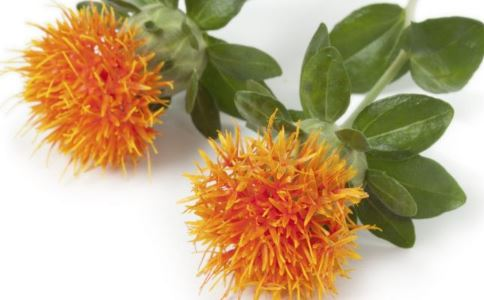 Regulations Dynamic | Safflower 5 Three New Raw Material Declaration Was Accepted