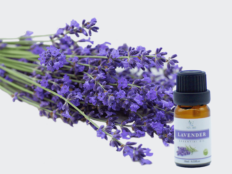 6 Reasons to Use Lavender Oil for Skin