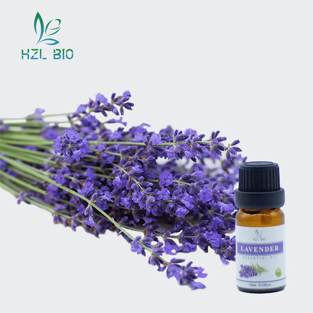 Lavender Essential Oil