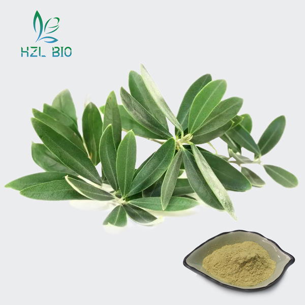 Olive Leaf Extract