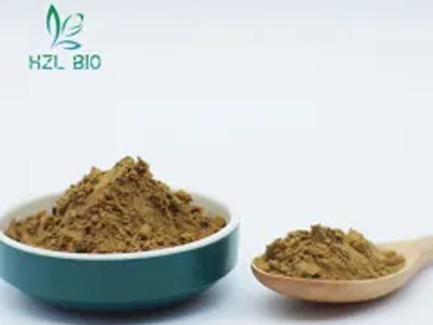 What Are Herbal Extracts Good For?