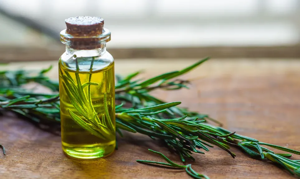 Rosemary Essential Oil