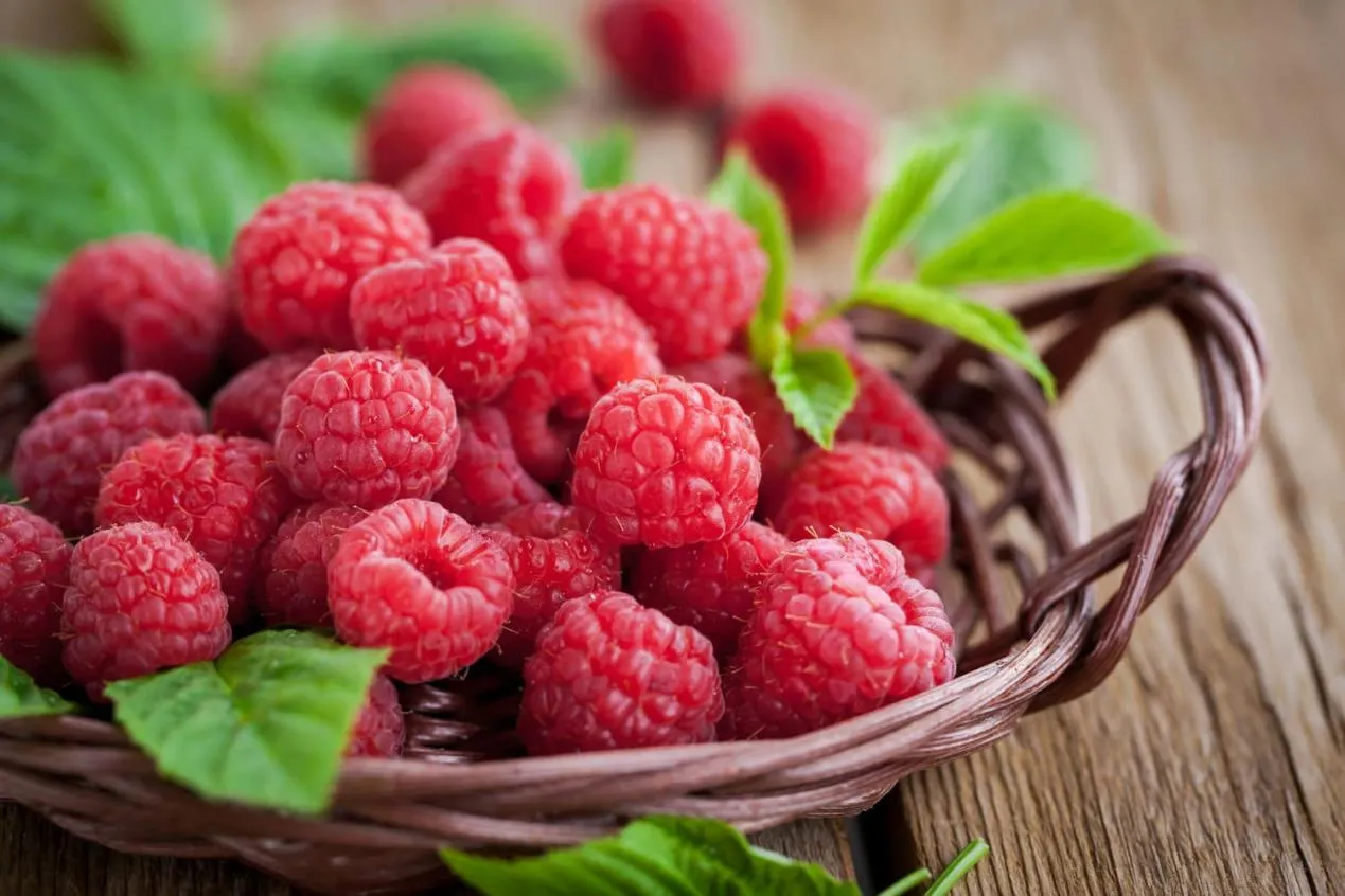 Raspberry Extract Inhibits Liver Cancer Cell Growth