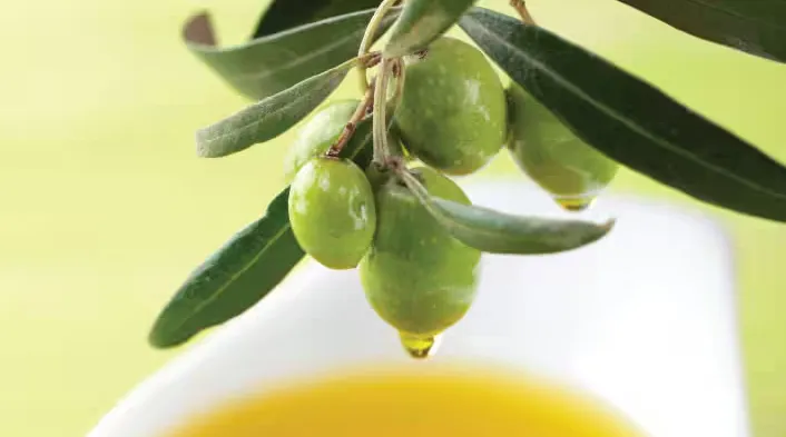 Olive Oil