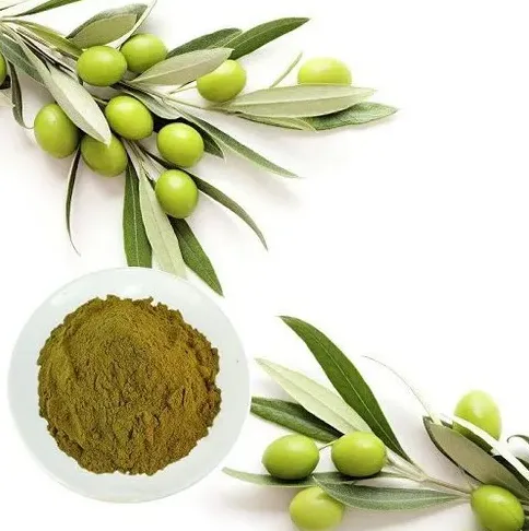 Olive Leaf Extract