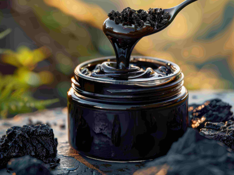 Shilajit Extract: Insights from Recent Scientific Research