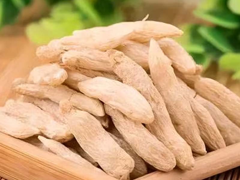 The Latest Research on Ophiopogon Root Extract: Exploring Its Therapeutic Potential