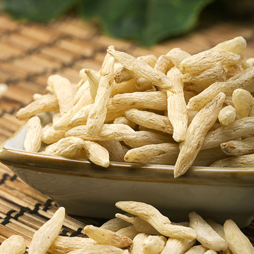 The Latest Research on Ophiopogon Root Extract: Exploring Its Therapeutic Potential
