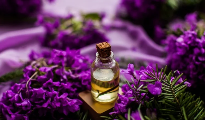 Latest Discovery: 10 Benefits of Lavender Essential Oil