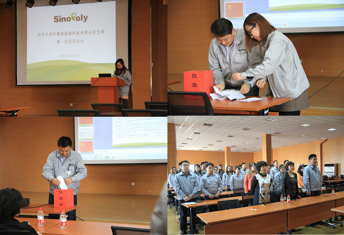 The Inaugural Party Member Meeting of the Party Branch at Tianjin Sinopoly New Energy Technology Co., Ltd. was Grandly Convened