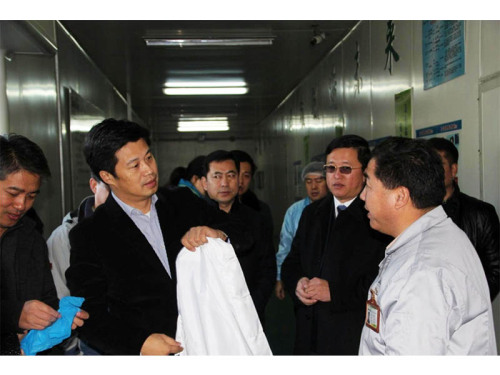 Der Bürgermeister der Stadt Liaoyuan, Jin Yuhui, führte eine Inspektion durch und gab Jilin Sinopoly New Energy Technology Co., Ltd. Ratschläge.