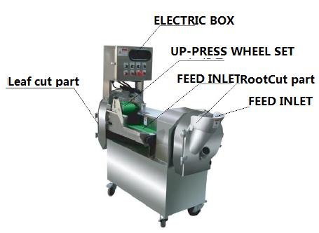 Vegetable Cutting Machine