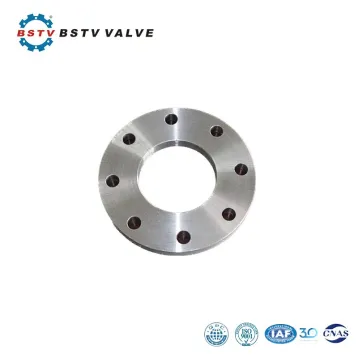 Plate Flange PN 40 According To EN 1092-1 Type 01 With Sealing Face