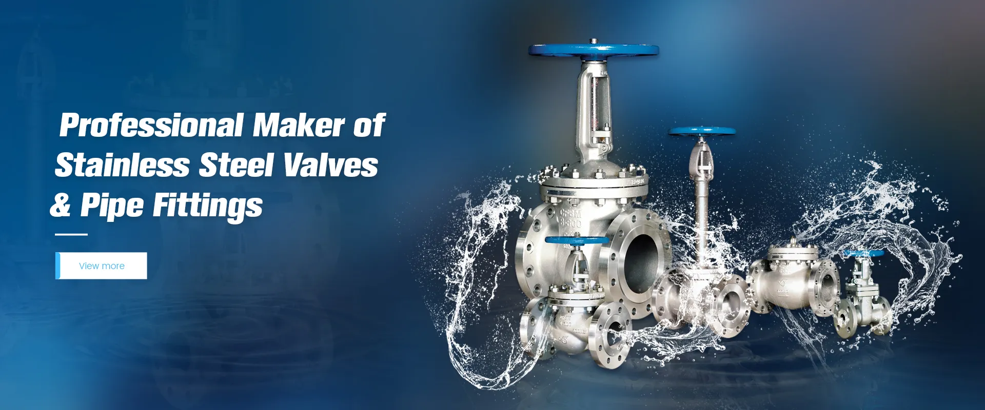 Professional Maker of Stainless Steel Valves & Pipe Fittings