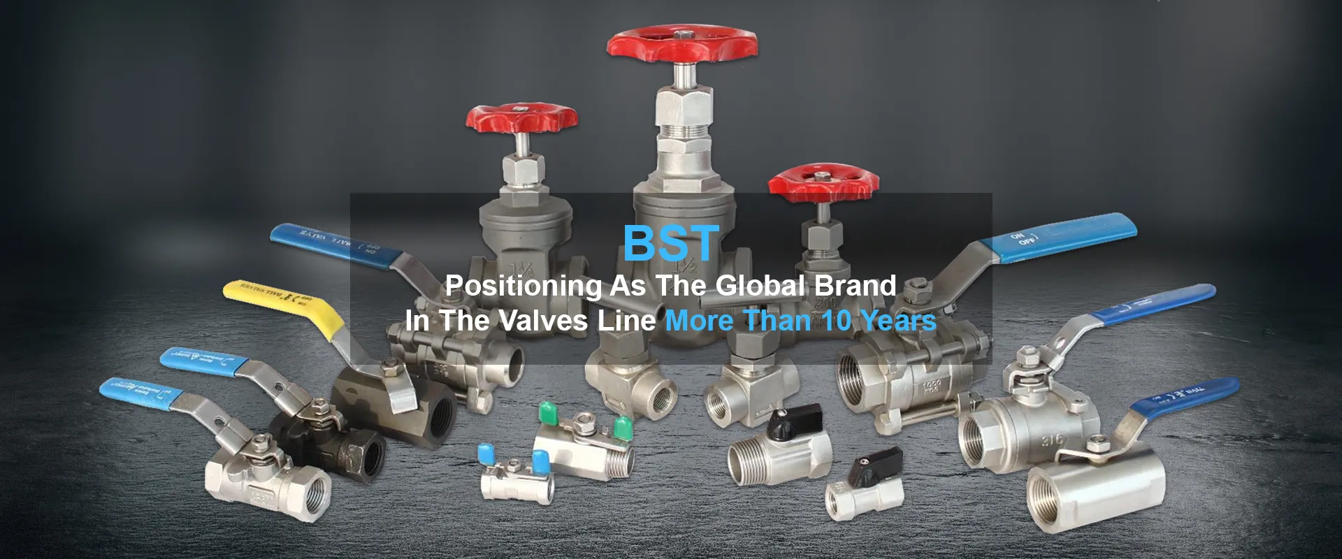BST Positioning As The Global Brand InThe Valves Line More Than10Years