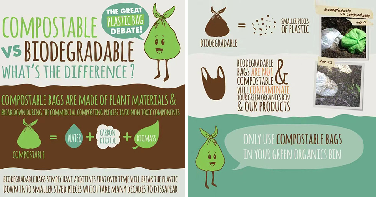 Shandong Tongtai Factory